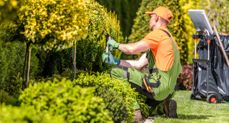 Boost curb appeal in your rental