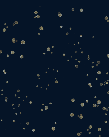 2025 Housing Excellence Awards: Honoring Rep. Larry Butler 2025 Housing Excellence Awards: Honoring Rep. Larry Butler