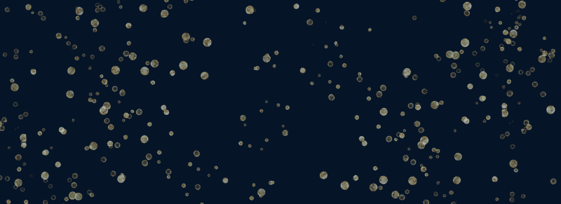 2025 Housing Excellence Awards: Honoring Rep. Larry Butler